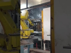 See/Luft/Expressversand Druckgusswerkzeug Holzgehäuse/Palettenverpackung